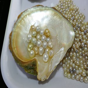 Luxe or Lie: Are There Really Any Benefits to Pearl, Gold, and Diamonds ...